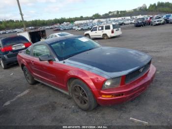  Salvage Ford Mustang