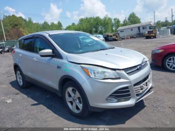  Salvage Ford Escape