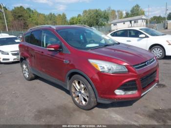  Salvage Ford Escape