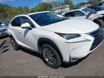  Salvage Lexus NX