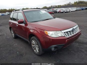  Salvage Subaru Forester