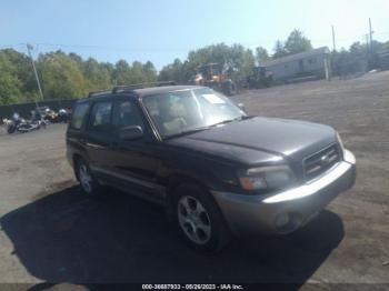  Salvage Subaru Forester