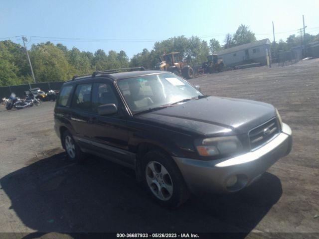  Salvage Subaru Forester