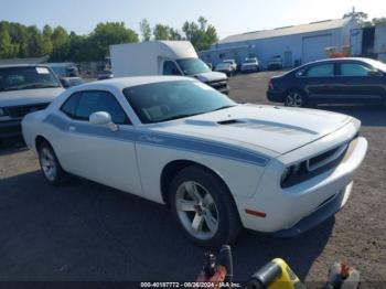  Salvage Dodge Challenger