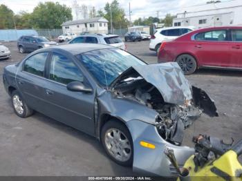  Salvage Dodge Neon