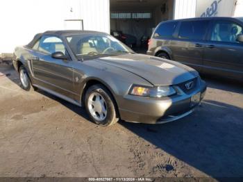  Salvage Ford Mustang