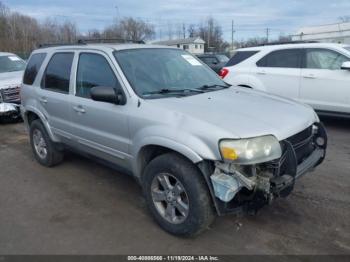  Salvage Ford Escape