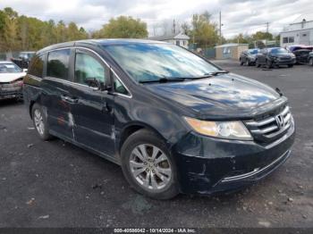  Salvage Honda Odyssey