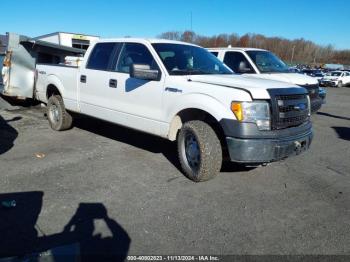  Salvage Ford F-150