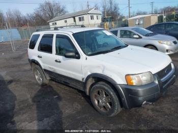  Salvage Ford Escape