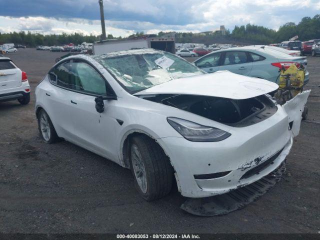  Salvage Tesla Model Y