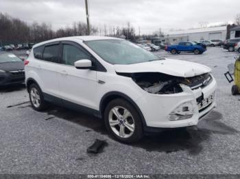  Salvage Ford Escape