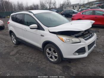  Salvage Ford Escape