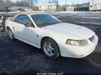  Salvage Ford Mustang