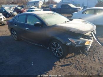  Salvage Nissan Maxima