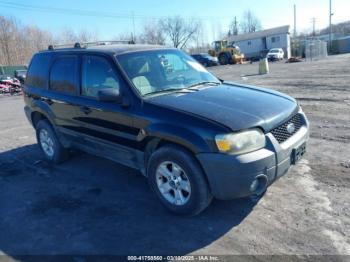  Salvage Ford Escape