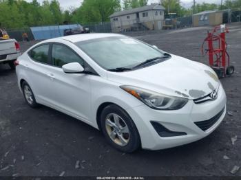  Salvage Hyundai ELANTRA