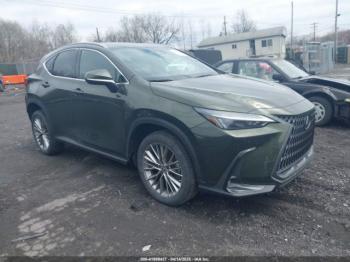  Salvage Lexus NX
