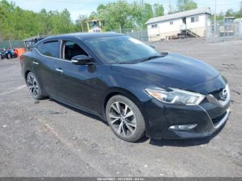  Salvage Nissan Maxima