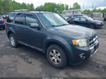  Salvage Ford Escape