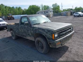  Salvage Chevrolet S Truck