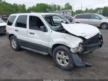  Salvage Ford Escape
