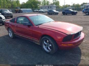  Salvage Ford Mustang