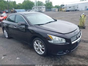  Salvage Nissan Maxima