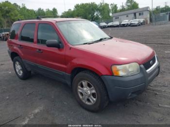  Salvage Ford Escape