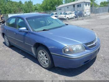  Salvage Chevrolet Impala