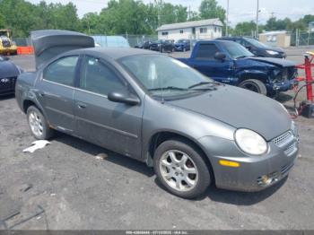  Salvage Dodge Neon