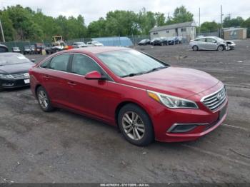  Salvage Hyundai SONATA