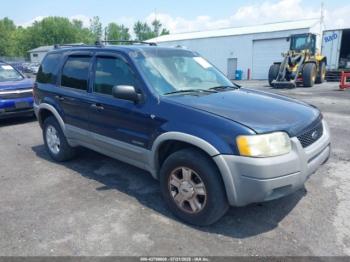  Salvage Ford Escape