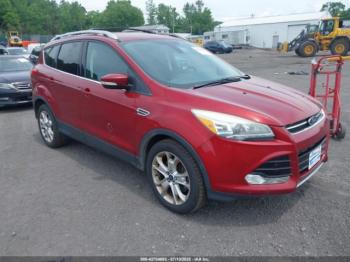 Salvage Ford Escape