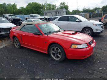  Salvage Ford Mustang