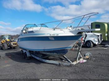  Salvage Wellcraft Antigua