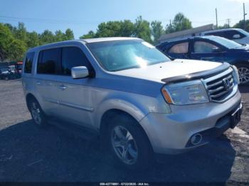  Salvage Honda Pilot