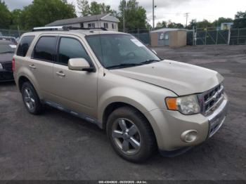  Salvage Ford Escape