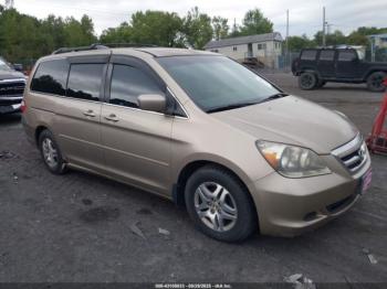  Salvage Honda Odyssey