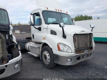  Salvage Freightliner Cascadia 113