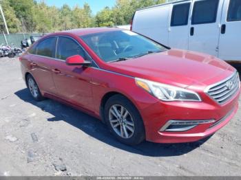  Salvage Hyundai SONATA