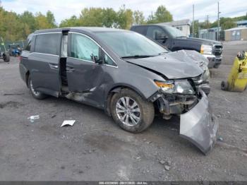  Salvage Honda Odyssey