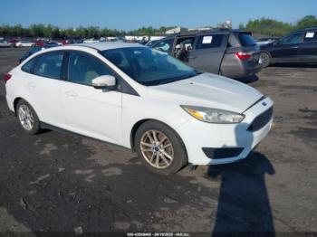  Salvage Ford Focus
