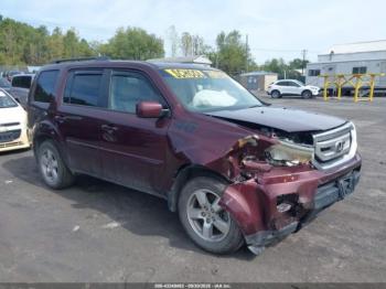  Salvage Honda Pilot