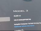 Tesla Model 3 Rear-wheel Drive Image 15