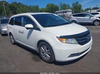  Salvage Honda Odyssey