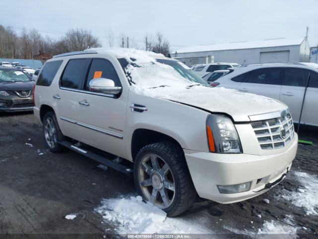 Cadillac Escalade Premium Image 1