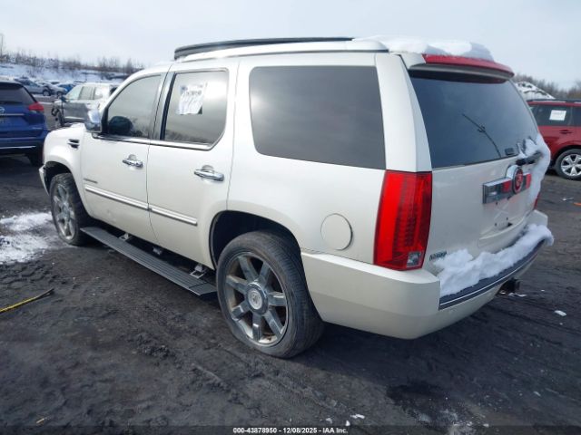 Cadillac Escalade Premium Image 3