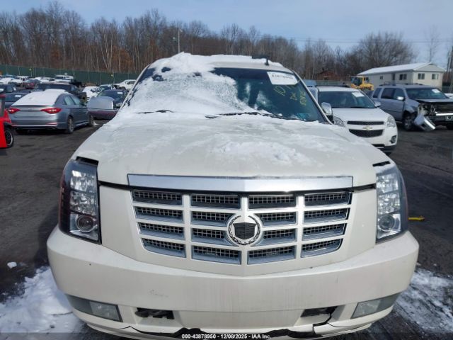 Cadillac Escalade Premium Image 6