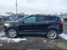 Ford Escape Sel Image 6